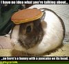 bunny-pancake.jpg