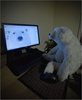 COCO_train2014_000000044432.jpg