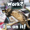Work I'm on it.png