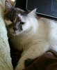 _20170422_164316.JPG