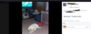 Screenshot_9.png