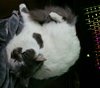 _20170501_090736.JPG