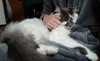 _20170502_113312.JPG