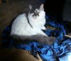 _20170503_102832.JPG