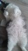 20170511_113440.jpg