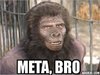 METABRO.jpg