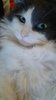 20170521_041619.jpg