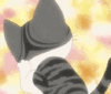 Chis-Sweet-Home-1.100.gif