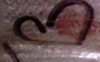 upload_2017-5-26_12-10-32.png