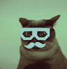 giphy (2).gif