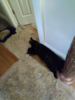 upload_2017-6-18_12-39-58.png