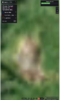 Screen Shot 2017-06-19 at 4.40.47 PM.png
