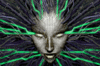 system shock.gif