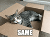1r9td4.gif