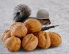 Squirrel-Soldier-Nuts-43495.jpg