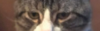 upload_2017-7-7_16-55-48.png