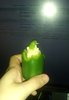 IMG_20170707_173809139.jpg