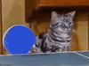 200w (5).gif