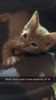 upload_2018-7-11_20-38-39.png