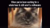 upload_2018-7-20_10-27-26.png