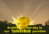 ctnorthkorea.gif