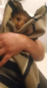 20180819_153224.png