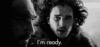 giphy (3).gif