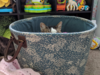 upload_2018-10-12_21-47-10.png