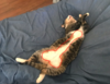 upload_2018-10-14_16-46-44.png