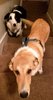 20181015_013948.jpg