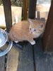 IMG_20181019_133920061.jpg