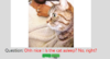 upload_2018-10-27_15-11-23.png