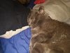 IMG_20181027_181330.jpg