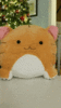 ezgif-1-cf7c1e4b0876.gif