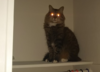upload_2018-12-26_10-41-40.png