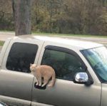 upload_2019-1-14_14-13-40.png