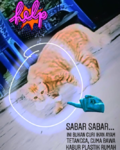 upload_2019-1-14_18-47-2.png