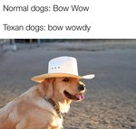 50425900_2257345437852414_7330733297019912192_n (1).jpg