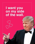 51279592_952263464978021_4299598370256715776_n.png