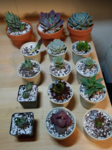 upload_2019-3-21_6-42-45.png