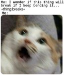 I9InSg1.jpg