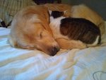 IMG_20180214_090513131.jpg