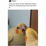 no snacks.jpg