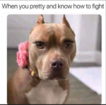 upload_2019-4-29_17-3-18.png