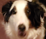 upload_2019-4-30_18-32-7.png