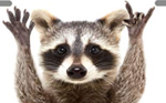 upload_2019-5-7_19-48-57.png