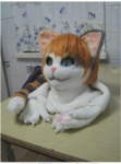 upload_2019-5-8_21-44-24.png
