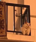 upload_2019-5-10_23-40-41.png