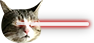 bearnielaser.png