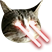 bearnielaserv2.png